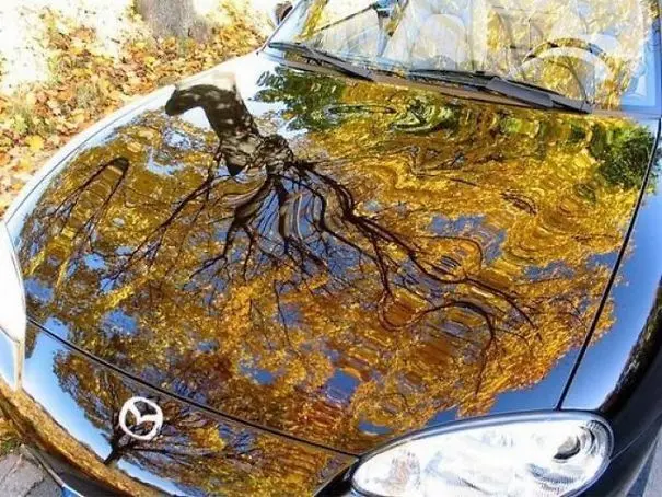 Искусство, которое мы не замечаем: 13 случайных шедевров искусство, фото, случайность, креатив, подборка