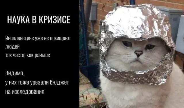 Маразм крепчал: угарная подборка скринов из соцсетей приколы, объявления, соцсети, маразм, юмор, стихи, скрины, смешное