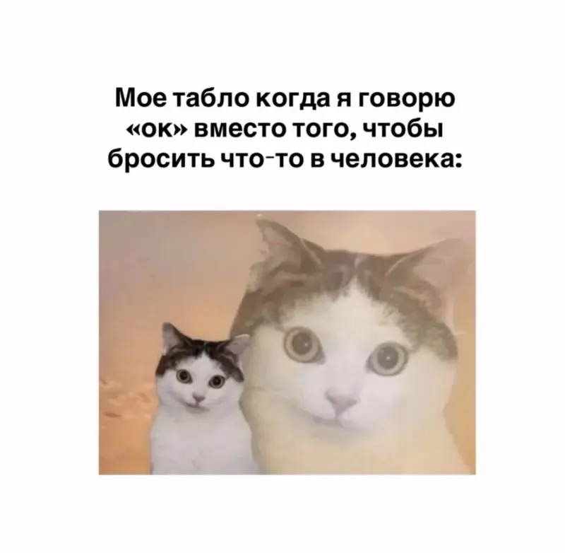 Настроение на сегодня: приколы и тихая стирка юмор, приколы, картинки, смешное, стиральная машина, подборка, развлечение
