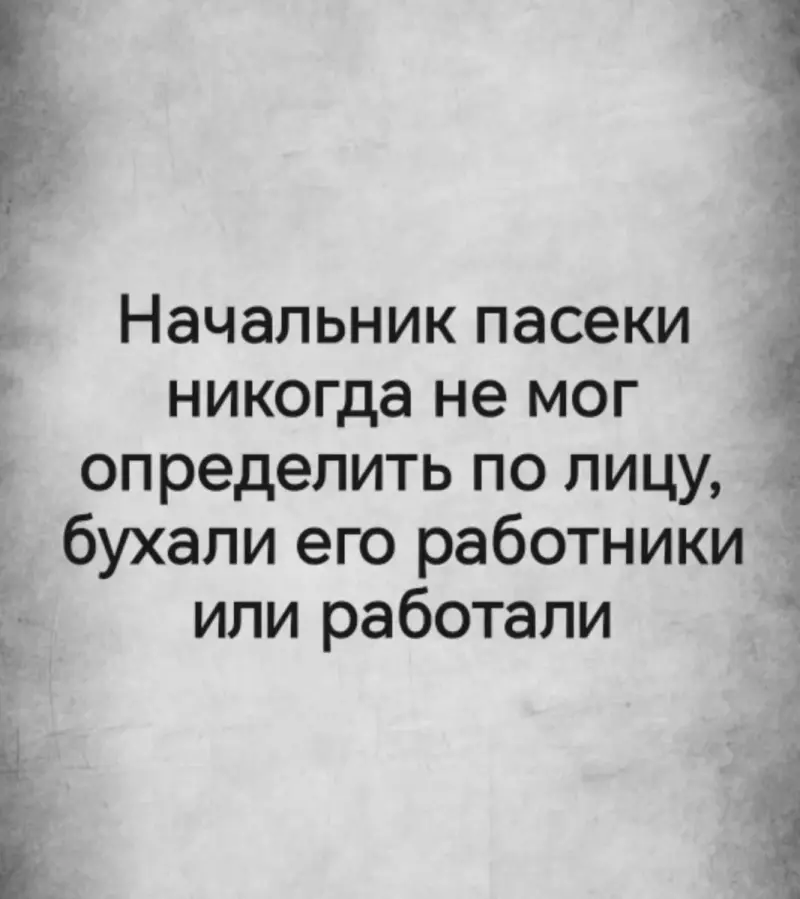Настроение на сегодня: приколы и тихая стирка юмор, приколы, картинки, смешное, стиральная машина, подборка, развлечение