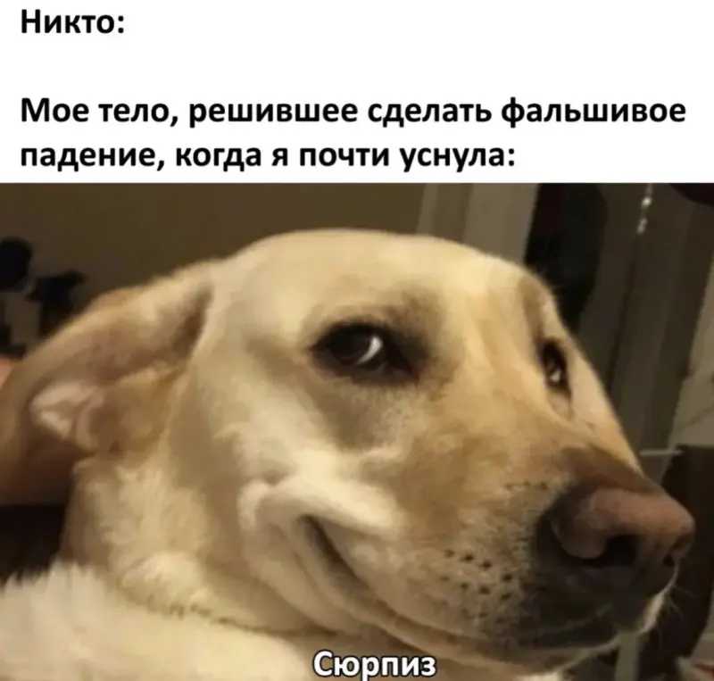 Настроение на сегодня: приколы и тихая стирка юмор, приколы, картинки, смешное, стиральная машина, подборка, развлечение