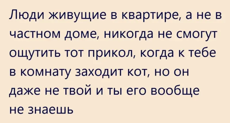 Настроение на сегодня: приколы и тихая стирка юмор, приколы, картинки, смешное, стиральная машина, подборка, развлечение