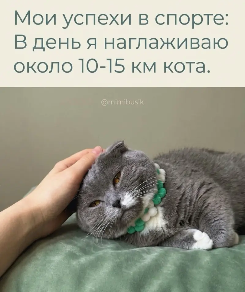 Убойная порция мемов: заряжаемся смехом на все выходные мемы, приколы, юмор, смешные картинки, выходные, настроение