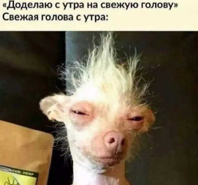 Убойная порция мемов: заряжаемся смехом на все выходные мемы, приколы, юмор, смешные картинки, выходные, настроение