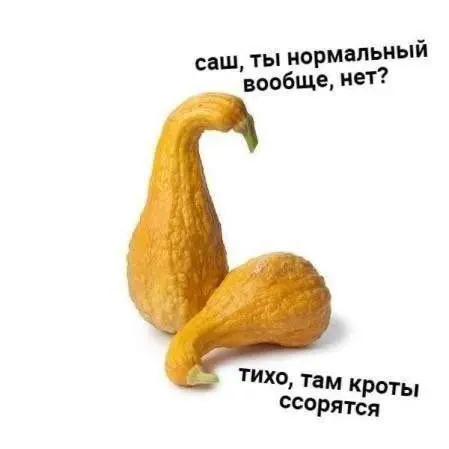 Убойная порция мемов: заряжаемся смехом на все выходные мемы, приколы, юмор, смешные картинки, выходные, настроение