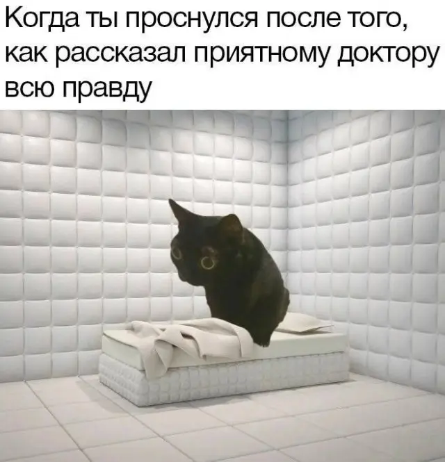 Убойная порция мемов: заряжаемся смехом на все выходные мемы, приколы, юмор, смешные картинки, выходные, настроение