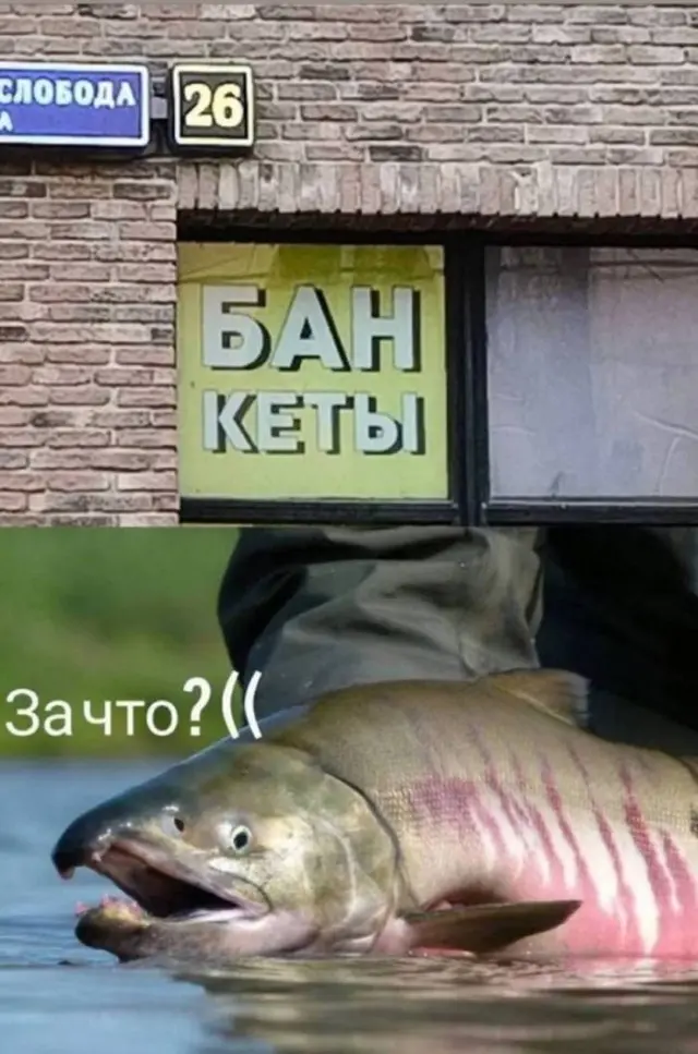 Убойная порция мемов: заряжаемся смехом на все выходные мемы, приколы, юмор, смешные картинки, выходные, настроение
