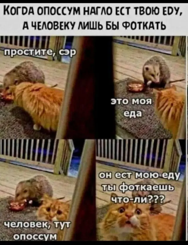 Убойная порция мемов: заряжаемся смехом на все выходные мемы, приколы, юмор, смешные картинки, выходные, настроение
