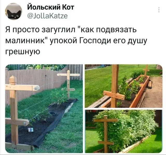 Утренний юмор: короед, хачапури и проявления лени в новой подборке мемов мемы, приколы, юмор, картинки с надписями, короед, хачапури, лень, интернет мемы, подборка
