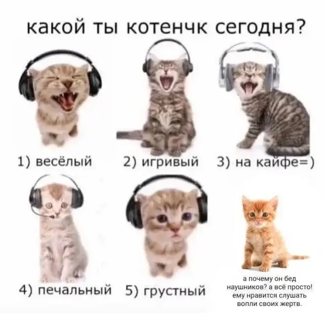 Утренний юмор: короед, хачапури и проявления лени в новой подборке мемов мемы, приколы, юмор, картинки с надписями, короед, хачапури, лень, интернет мемы, подборка