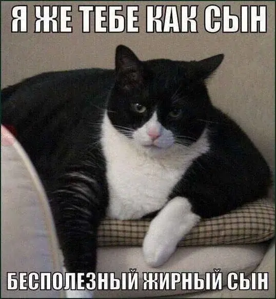 Утренний юмор: короед, хачапури и проявления лени в новой подборке мемов мемы, приколы, юмор, картинки с надписями, короед, хачапури, лень, интернет мемы, подборка