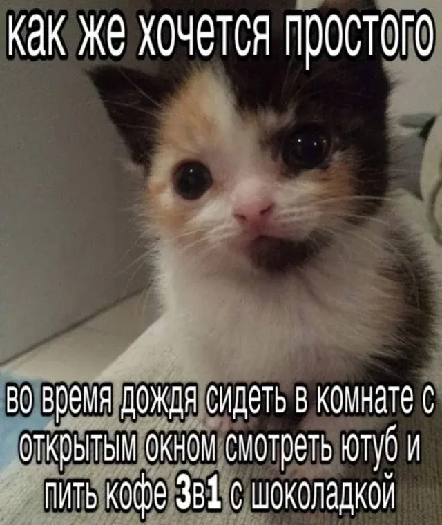 Утренний юмор: короед, хачапури и проявления лени в новой подборке мемов мемы, приколы, юмор, картинки с надписями, короед, хачапури, лень, интернет мемы, подборка