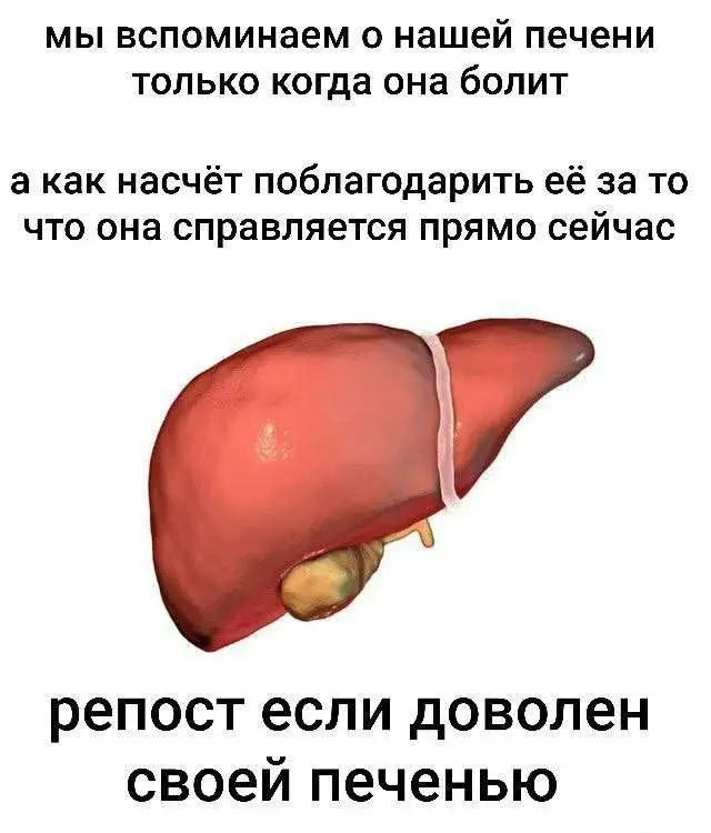 Утренний юмор: короед, хачапури и проявления лени в новой подборке мемов мемы, приколы, юмор, картинки с надписями, короед, хачапури, лень, интернет мемы, подборка