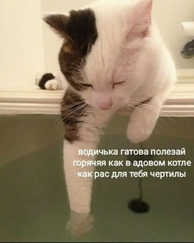 Утренний юмор: короед, хачапури и проявления лени в новой подборке мемов мемы, приколы, юмор, картинки с надписями, короед, хачапури, лень, интернет мемы, подборка