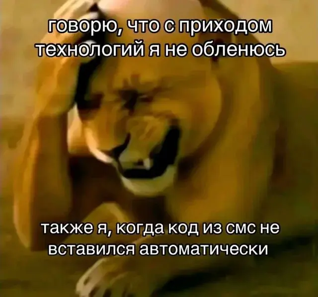 Утренний юмор: короед, хачапури и проявления лени в новой подборке мемов мемы, приколы, юмор, картинки с надписями, короед, хачапури, лень, интернет мемы, подборка