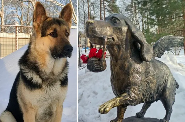 Трезорка: пёс, который кормил целый дом в блокаду Трезорка, блокада Ленинграда, собака-герой, памятник, Всеволожск, история, верность, подвиг, блокадный пёс, спасение