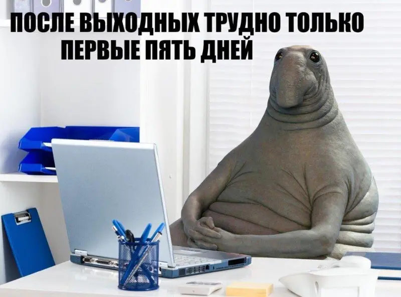 Смешные мемы про выход на работу после майских: спасение для офисных работников Смешные мемы про выход на работу после майских: спасение для офисных работников мемы, картинки, приколы, работа, майские, юмор, подборка, смешное