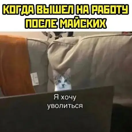 Смешные мемы про выход на работу после майских: спасение для офисных работников Смешные мемы про выход на работу после майских: спасение для офисных работников мемы, картинки, приколы, работа, майские, юмор, подборка, смешное