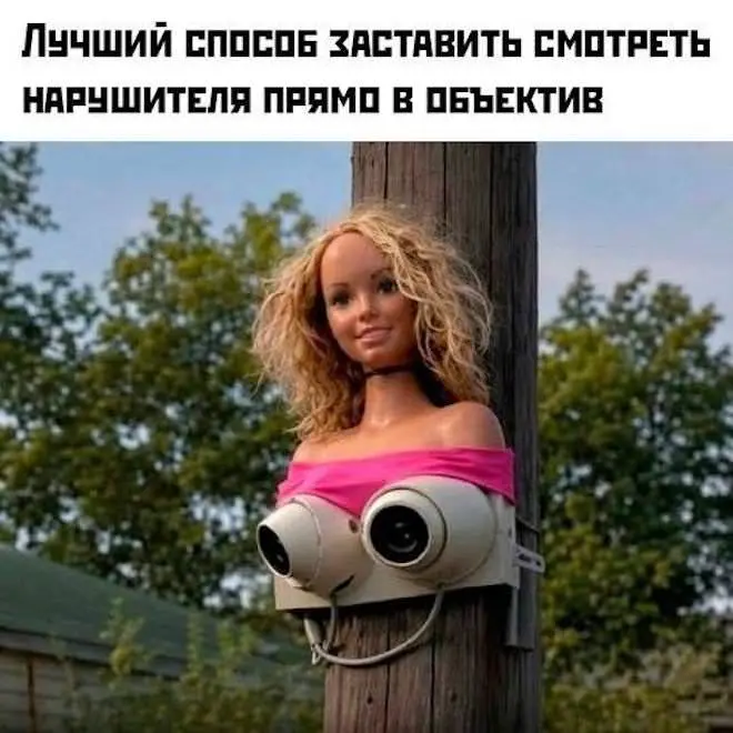 Мемы на утро 4 мая: взрослые мечты и шорты мемы, юмор, подборка, утро, 4 мая, шутки, картинки
