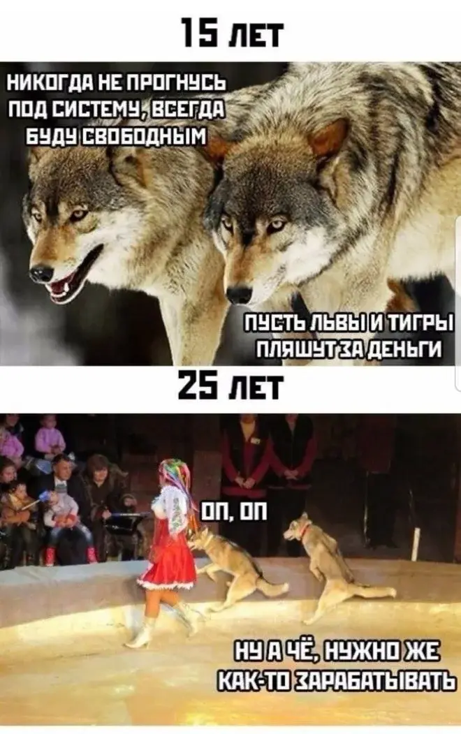 Мемы на утро 4 мая: взрослые мечты и шорты мемы, юмор, подборка, утро, 4 мая, шутки, картинки
