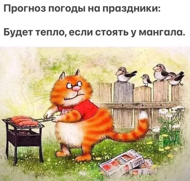 Мемы на утро 4 мая: взрослые мечты и шорты мемы, юмор, подборка, утро, 4 мая, шутки, картинки