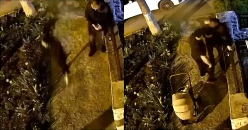 Жестокое нападение из-за ревности в Краснодаре: пострадавший в реанимации