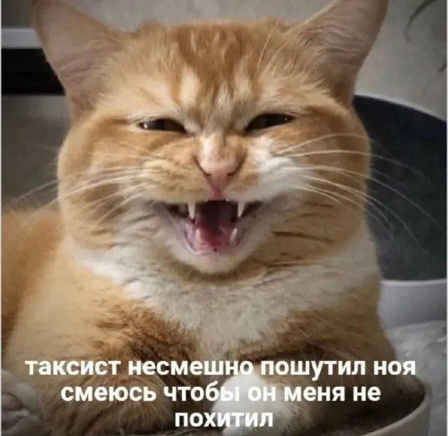 Скука сдаётся: когда юмор не оставляет шансов скука, смех, приколы, картинки, юмор, победа, позитив