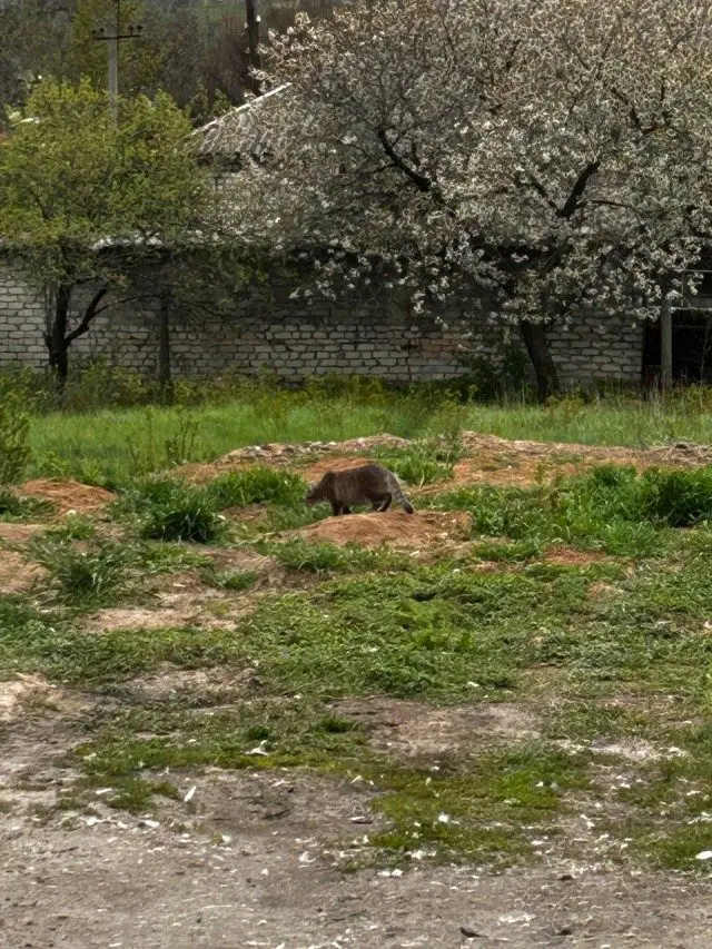 Скука сдаётся: когда юмор не оставляет шансов скука, смех, приколы, картинки, юмор, победа, позитив