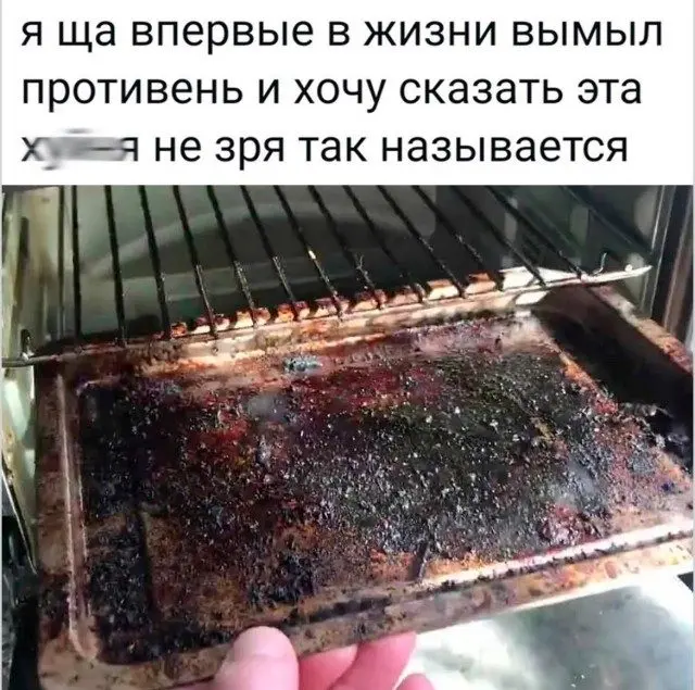 Скука сдаётся: когда юмор не оставляет шансов скука, смех, приколы, картинки, юмор, победа, позитив