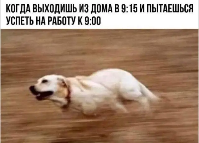 Скука сдаётся: когда юмор не оставляет шансов скука, смех, приколы, картинки, юмор, победа, позитив