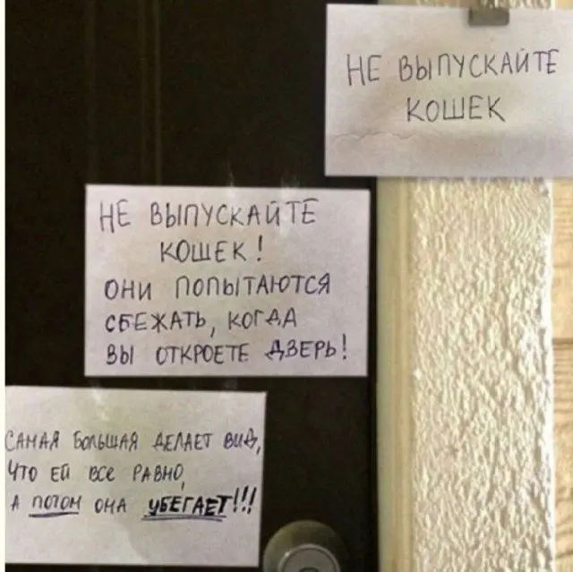 Хаос в чистом виде: мемы, где порядок потерялся мемы, хаос, приколы, подборка, смешные картинки, абсурд, юмор