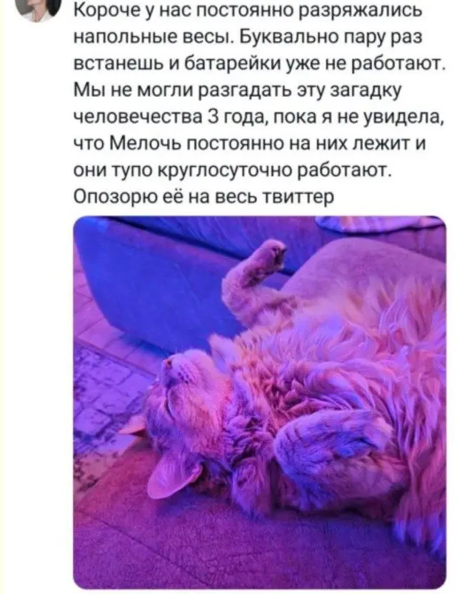 Хаос в чистом виде: мемы, где порядок потерялся мемы, хаос, приколы, подборка, смешные картинки, абсурд, юмор