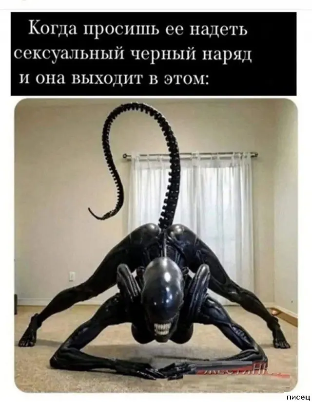 Новые приколюхи «Когда...» — залипательная подборка приколы, когда, смешные картинки, юмор, подборка, ржака, мемы