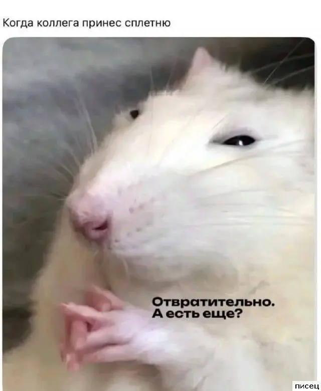 Новые приколюхи «Когда...» — залипательная подборка приколы, когда, смешные картинки, юмор, подборка, ржака, мемы