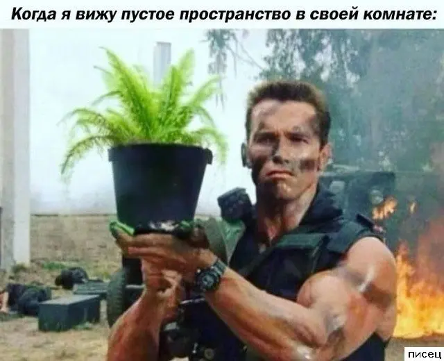 Новые приколюхи «Когда...» — залипательная подборка приколы, когда, смешные картинки, юмор, подборка, ржака, мемы