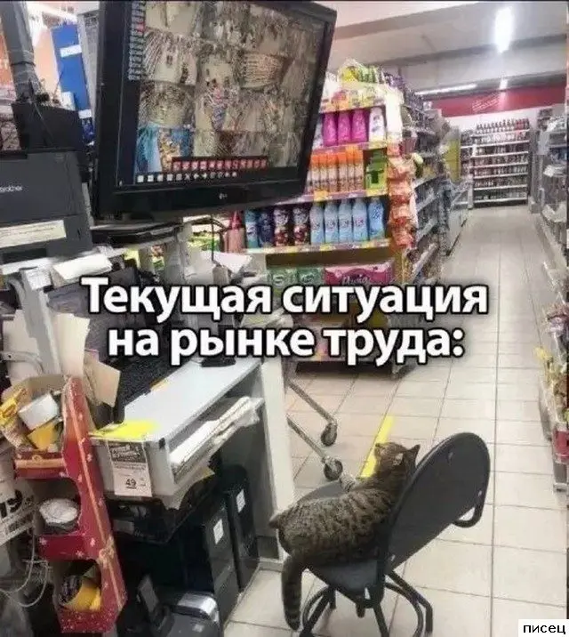 Работа не волк, а повод для прикола: 20 убойных фото приколы про работу, смешное на работе, офисный юмор, фотоприколы, подборка