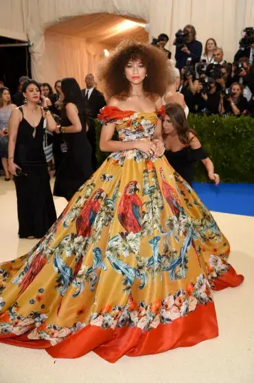 Зендая и Мэрил Стрип пропустили Met Gala: что известно о бойкоте из-за Безоса Зендая, Мэрил Стрип, Met Gala, Джефф Безос, Лорен Санчес, бойкот, новости, сплетни