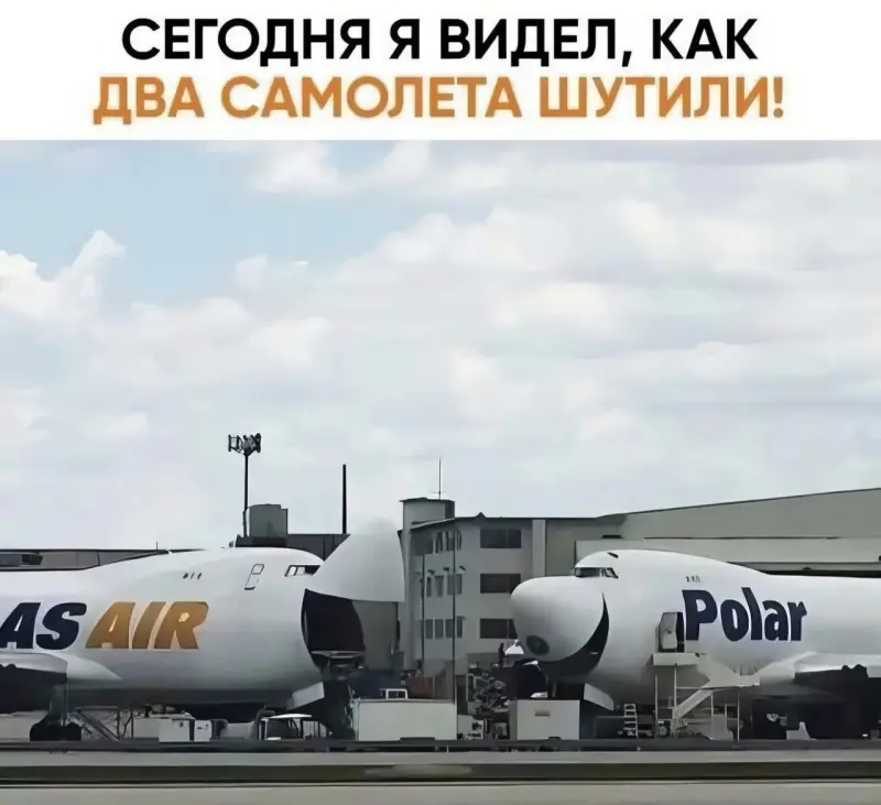 Свежие забавные картинки: от путаны до папы Карло приколы, юмор, картинки, смешные картинки, мемы, подборка, путана, буратино
