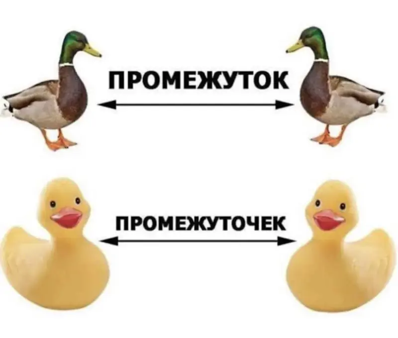 Свежие забавные картинки: от путаны до папы Карло приколы, юмор, картинки, смешные картинки, мемы, подборка, путана, буратино