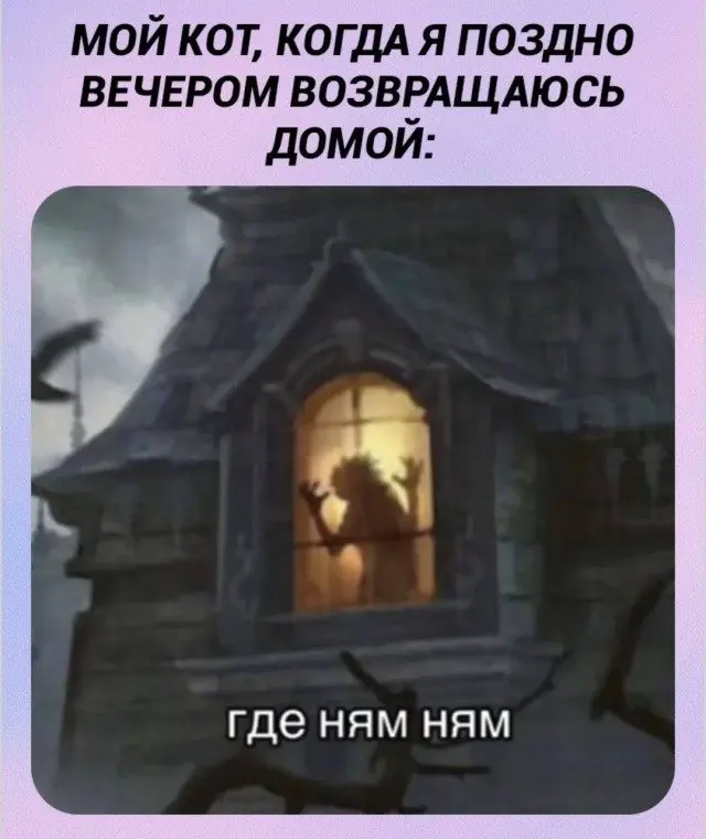 Когда логика ушла в отпуск и не вернулась мемы, приколы, логика, абсурд, смешные картинки, юмор, фото