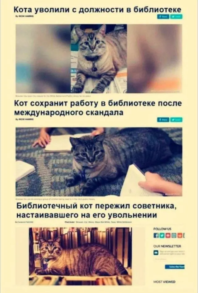 Когда логика ушла в отпуск и не вернулась мемы, приколы, логика, абсурд, смешные картинки, юмор, фото