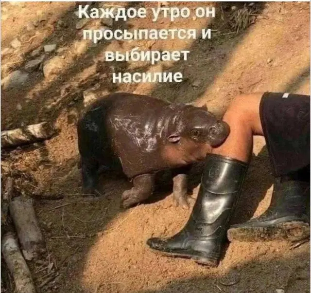 Когда логика ушла в отпуск и не вернулась мемы, приколы, логика, абсурд, смешные картинки, юмор, фото