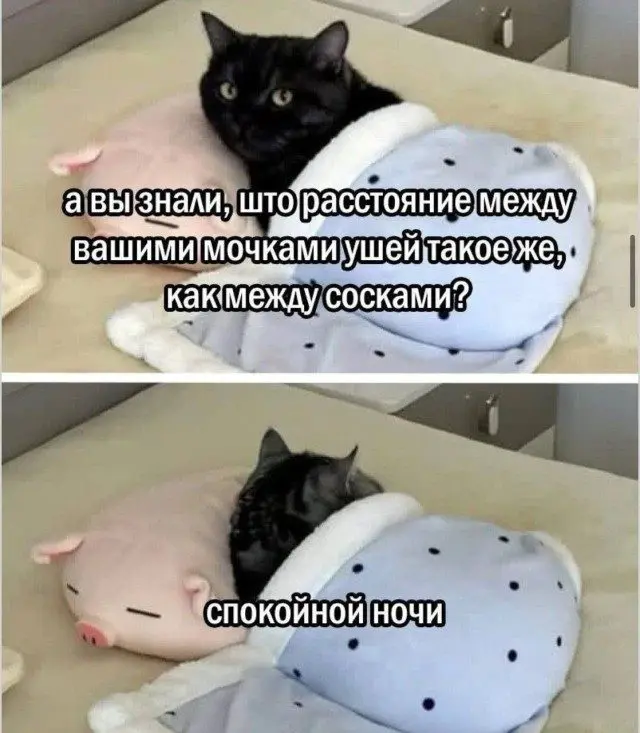 Когда логика ушла в отпуск и не вернулась мемы, приколы, логика, абсурд, смешные картинки, юмор, фото