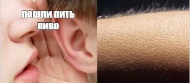 Когда логика ушла в отпуск и не вернулась мемы, приколы, логика, абсурд, смешные картинки, юмор, фото