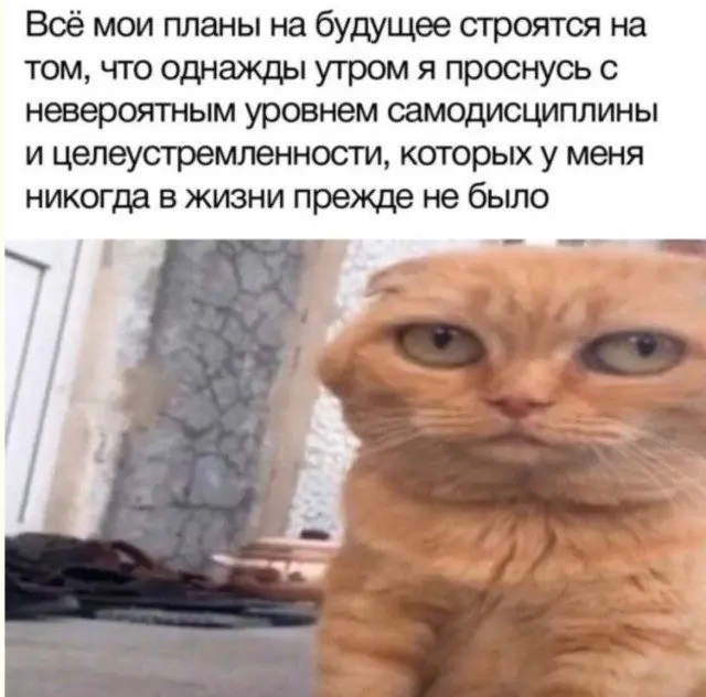 Смех с секретом: 15 фото, где всё не так, как кажется смех, приколы, неожиданный поворот, шутки, картинки, юмор, смешное