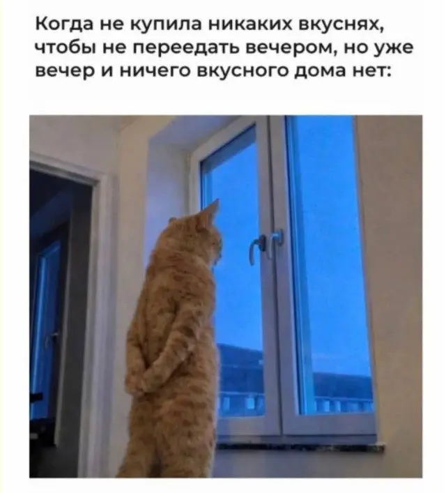 Смех с секретом: 15 фото, где всё не так, как кажется