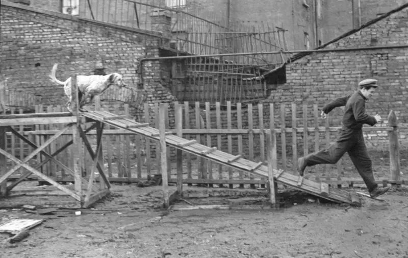 Ленинград-1953: похороны вождя, женщины у станков и стильные пижоны на Дворцовой ленинград 1953, история ссср, ретро фото, галерная улица, смерть сталина, газ-69, невский проспект