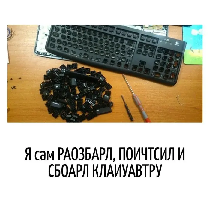 Когда слова играют не по правилам: подборка, от которой станет смешно игра слов, каламбуры, юмор, шутки, приколы, подборка, смешные надписи