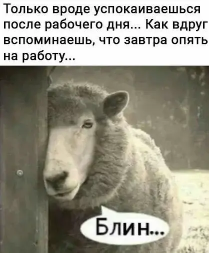 Жизненно и смешно: улетная подборка картинок с надписями смешные картинки, мемы, приколы, юмор, картинки с надписями, подборка