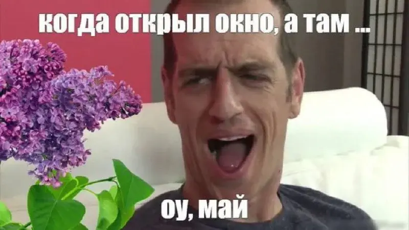 Жизненно и смешно: улетная подборка картинок с надписями